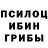 Галлюциногенные грибы ЛСД Amina Mammadova