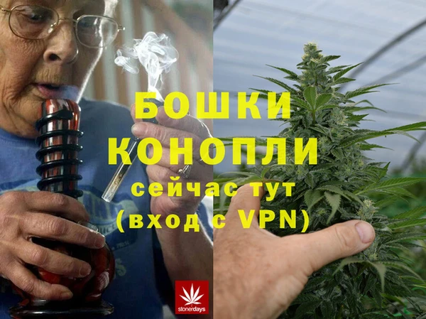 мдпв Бронницы