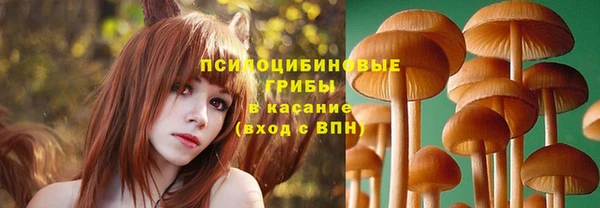 мдпв Бронницы