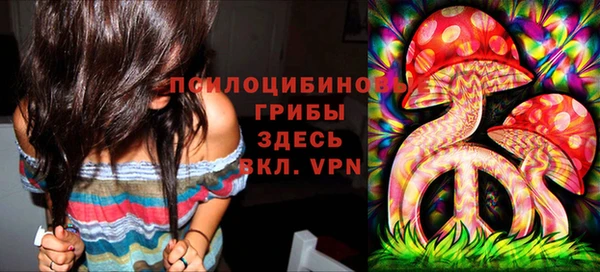 мдпв Бронницы